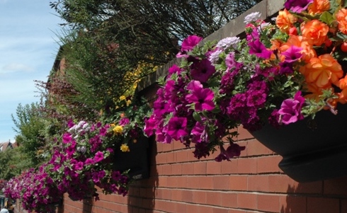 Wall baskets