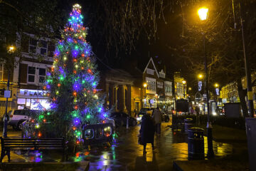 Christmas tree and lights