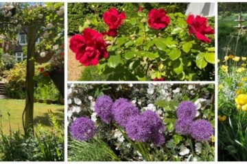 Open Gardens collage
