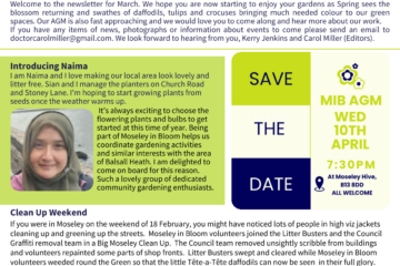 image of front page of the newsletter