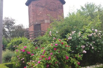 Dovecote garden